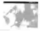 Fig. 01 - Exfoliated polymer-clay nanocomposite