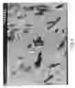 Fig. 05 - Exfoliated polymer-clay nanocomposite