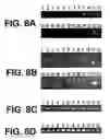 Fig. 06 - Saitohin gene and uses of same