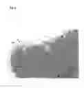 Fig. 04 - DNA nanocage by self-organization of DNA and process for producing the same, and DNA nanotube and molecule carrier using the same