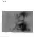 Fig. 11 - DNA nanocage by self-organization of DNA and process for producing the same, and DNA nanotube and molecule carrier using the same