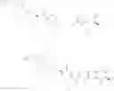 Fig. 1040 - Process for the manufacture of dihydropteridinones