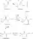 Fig. 45 - Synthesis of isotopically labeled alpha-keto acids and esters