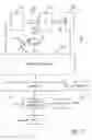 Fig. 08 - Determination of cellular electrical potentials
