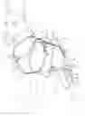 Fig. 01 - ORTHOTIC DEVICE FOR AN ANIMAL