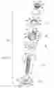 Fig. 07 - Bone fastener assembly