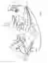 Fig. 02 - Robotically controlled medical instrument