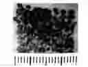 Fig. 01 - MAGNETIC INK TISSUE MARKINGS