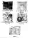 Fig. 02 - MAGNETIC INK TISSUE MARKINGS