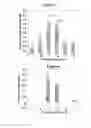 Fig. 04 - MAGNETIC INK TISSUE MARKINGS