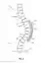 Fig. 03 - Vertebral Rods and Methods of Use