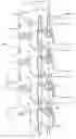 Fig. 01 - Orthosis to correct spinal deformities