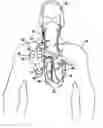 Fig. 01 - Parasympathetic stimulation for prevention and treatment of atrial fibrillation