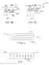 Fig. 07 - ELECTRODE CONTACT CONFIGURATIONS FOR CUFF LEADS