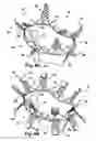 Fig. 06 - Method for implanting a cardiovascular valve