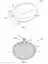 Fig. 02 - Testicular Prosthesis