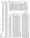 Fig. 71 - Resolution of virtual world revocable transfers