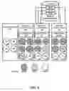 Fig. 07 - Export of logical volumes by pools