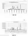 Fig. 09 - Bandwidth sizing in replicated storage systems