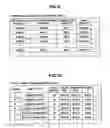 Fig. 09 - Remote copy system