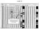 Fig. 03 - VERIFICATION SYSTEM AND METHOD FOR BODY CONTROL MODULE SOFTWARE