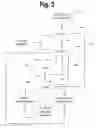 Fig. 03 - Method of presenting contents based on a common relationship