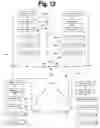 Fig. 13 - Method of presenting contents based on a common relationship