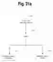 Fig. 33 - Method of presenting contents based on a common relationship