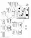 Fig. 06 - Multiple focus control