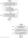 Fig. 07 - Radius security origin check