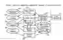 Fig. 01 - Intelligent network streaming and execution system for conventionally coded applications