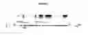 Fig. 02 - USE OF A GENE ENCODING A HISTIDINE PROTEIN KINASE TO CREATE DROUGHT RESISTANT PLANTS