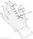 Fig. 01 - CLEANING GLOVE