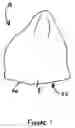 Fig. 02 - HEADWEAR