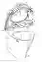 Fig. 02 - Container