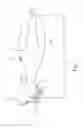 Fig. 02 - Grill brush