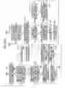 Fig. 33 - Ink transfer member position adjusting method and apparatus of rotary stencil printing press