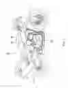 Fig. 02 - Engine for a vehicle and vehicle equipped with an engine