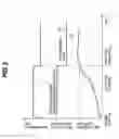 Fig. 04 - Exhaust gas recirculation system
