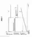Fig. 08 - Exhaust gas recirculation system