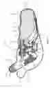 Fig. 02 - NASAL DRUG DELIVERY DEVICE AND METHOD