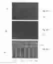 Fig. 02 - Laminated microfluidic structures and method for making