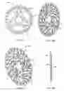 Fig. 07 - DISC ROTOR WITH GRAPHICAL STRUCTURAL ELEMENTS