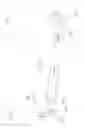 Fig. 23 - SLEEVE FOR PROTECTING A CORNER PORTION OF A PRODUCT