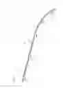 Fig. 04 - NON-SLIP GARMENT HANGER