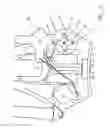 Fig. 06 - Harness for use with breathing apparatus