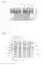Fig. 08 - Method of manufacturing a semiconductor device having raised source and drain of differing heights