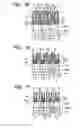 Fig. 45 - Semiconductor device and a method of manufacturing the same