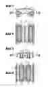 Fig. 03 - Oscillation damper for a hand-held power tool