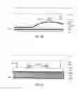 Fig. 08 - Method and apparatus for separating media combinations from a media stack